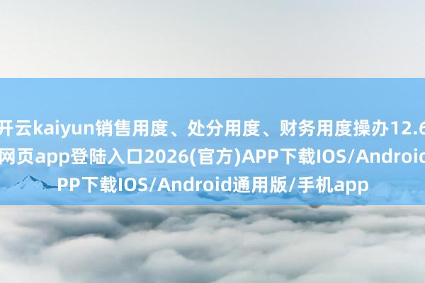 开云kaiyun销售用度、处分用度、财务用度操办12.64亿元-kai云体育网页app登陆入口2026(官方)APP下载IOS/Android通用版/手机app